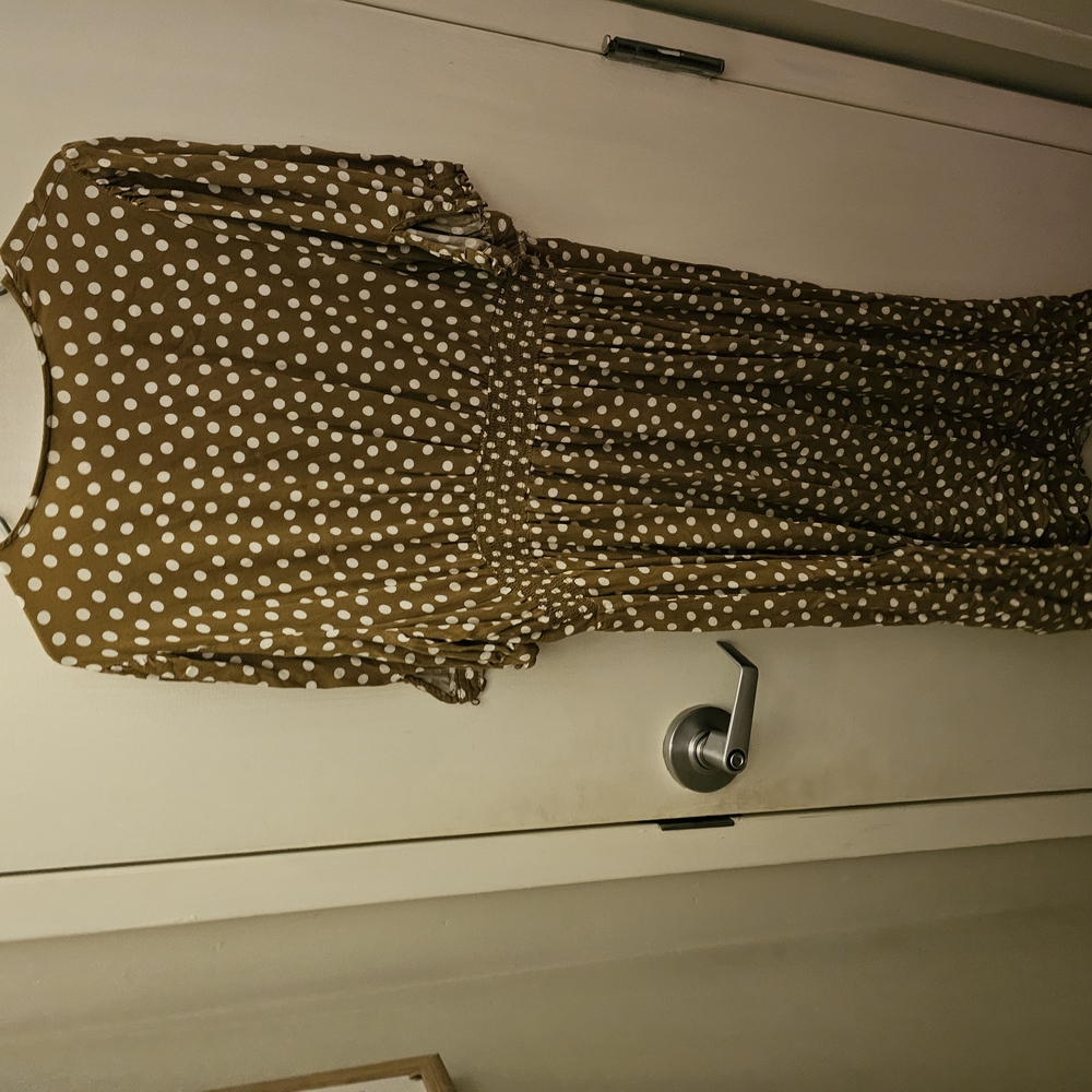 Polka Dot Brown Dress